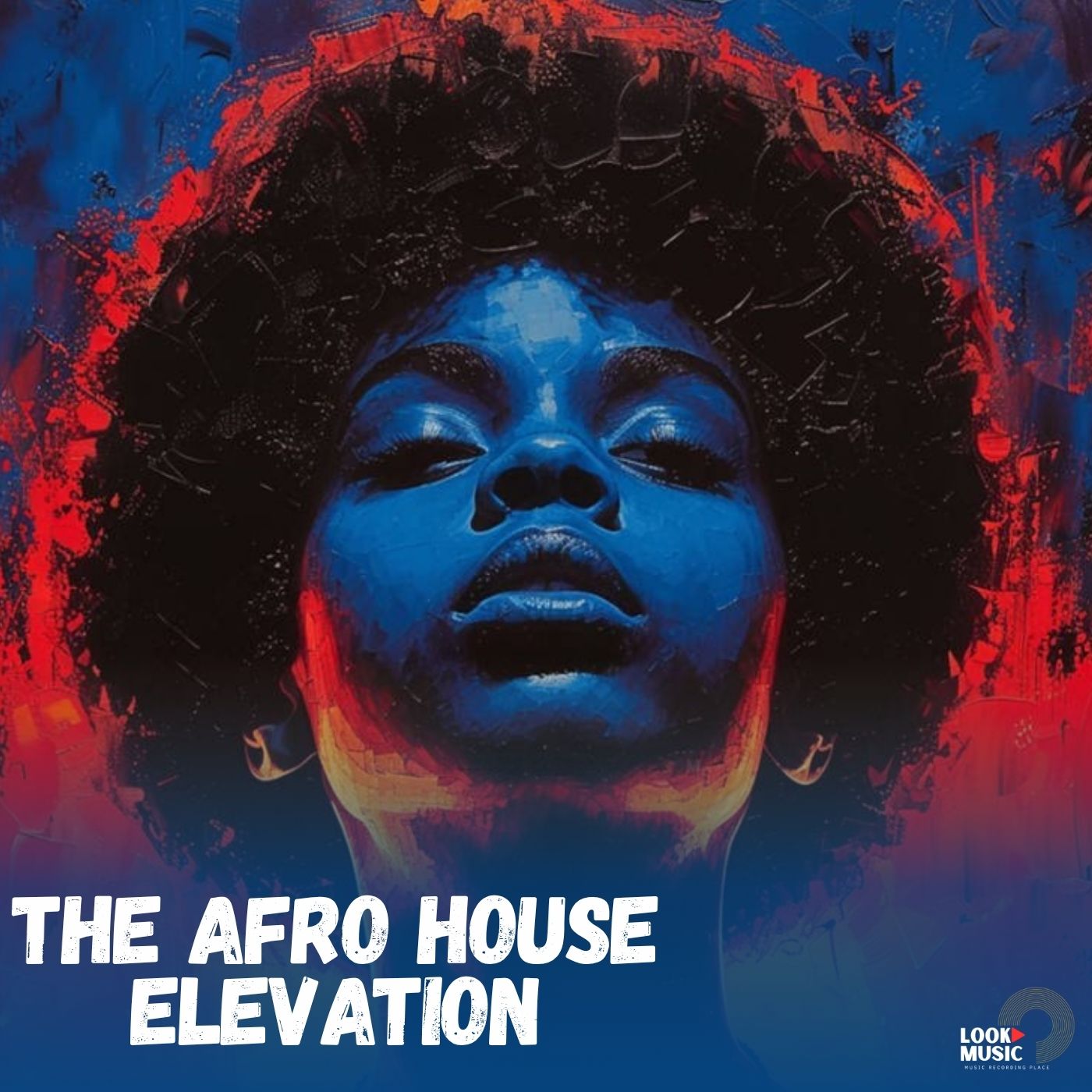 Afro House Elevation